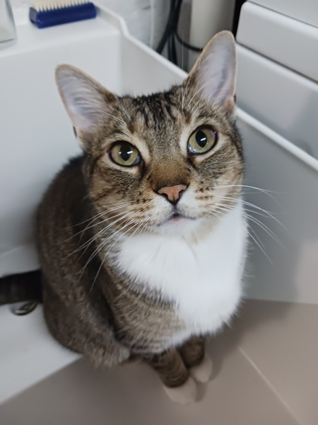 Pablo