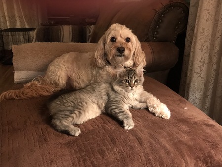 Lulu and Katniss