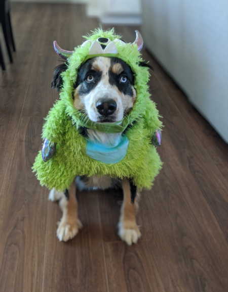 Kona