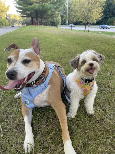 Mischievous & Bailey 