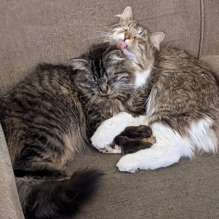Mila & Tony 