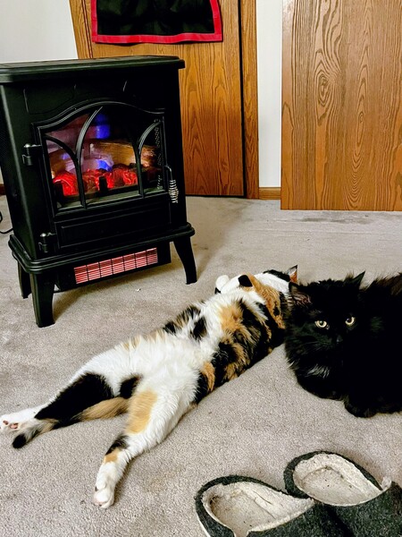 Beatrix & Monty
