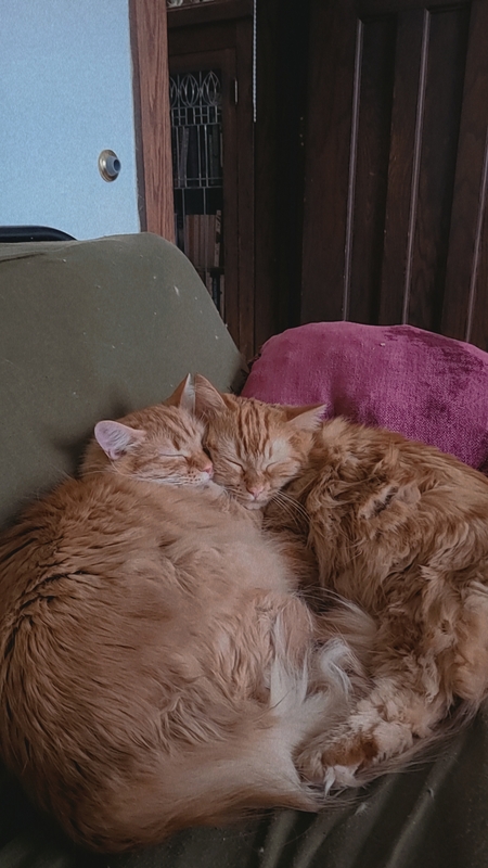 Alvin & Ambrosius 