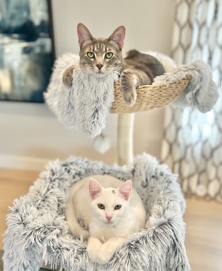 Jack & Meg
