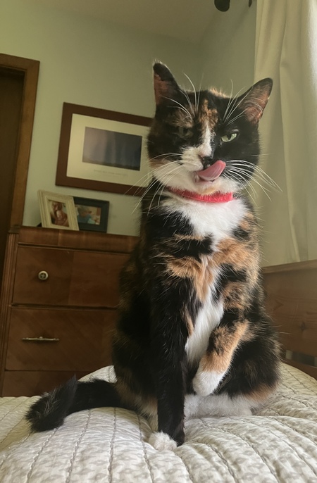 Lola