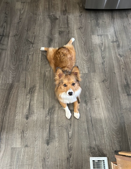 Benny
