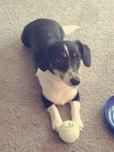 Oliver