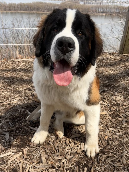 Finley