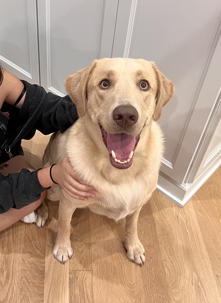 Kona