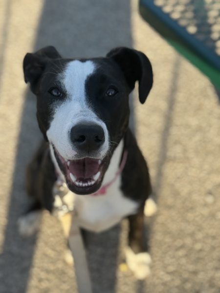 Della 
