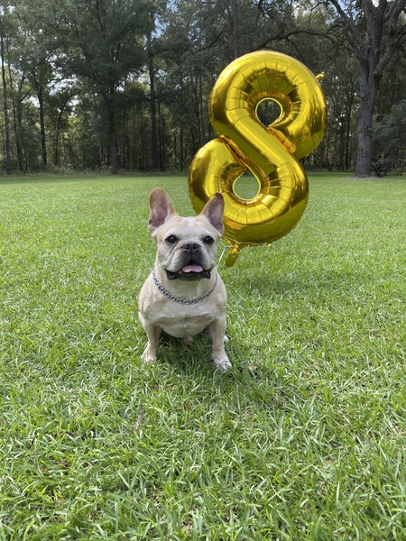 Cornelius 
