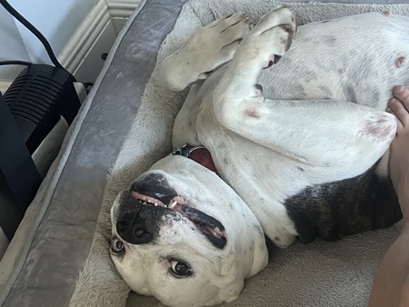 Tyson