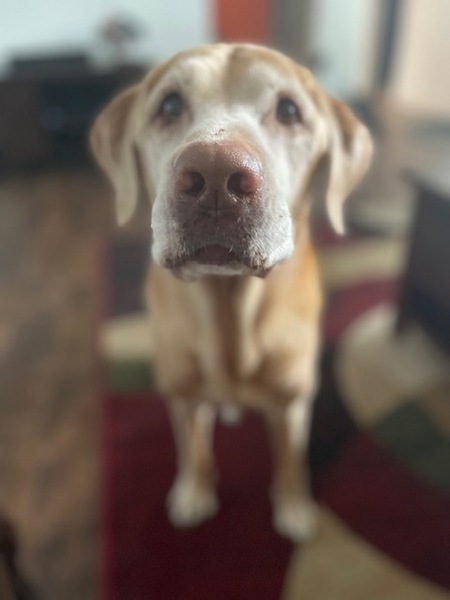 Abby
