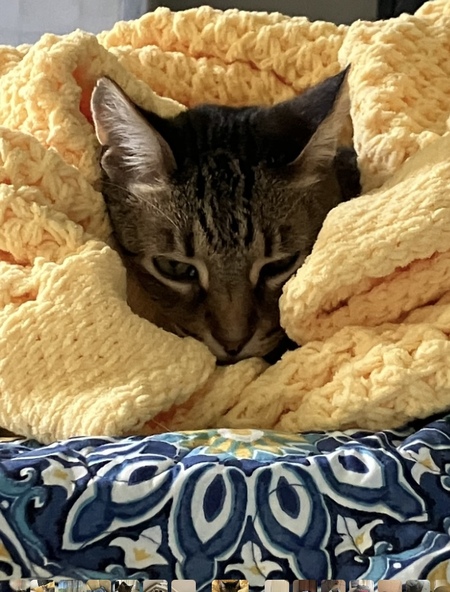Tigger