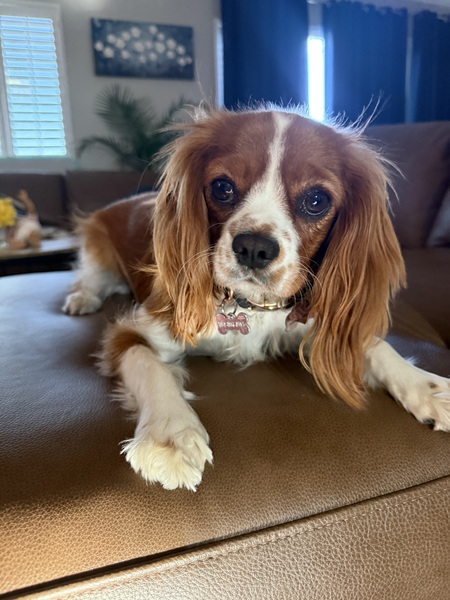 Millie