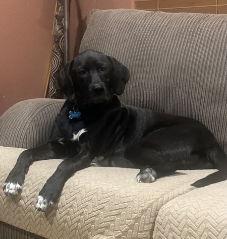 Luca 