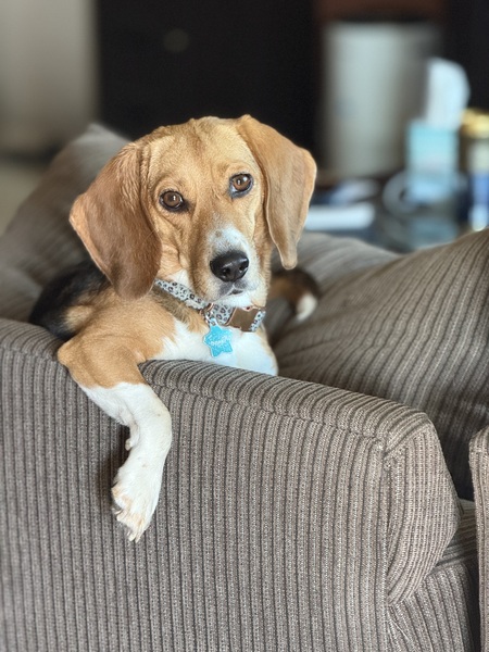 Penny