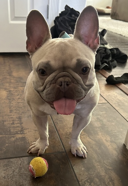 Baby Yoda