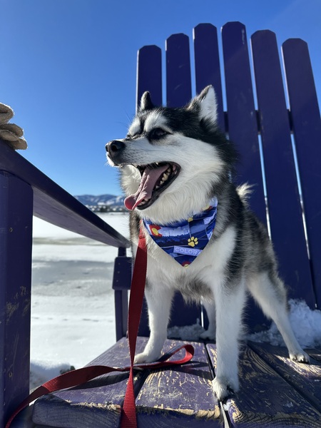 Nova