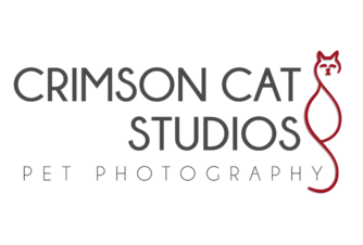 https://www.crimsoncatstudios.com/