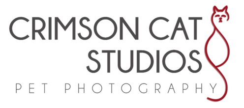 https://www.crimsoncatstudios.com/