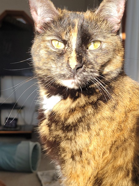 Lily 