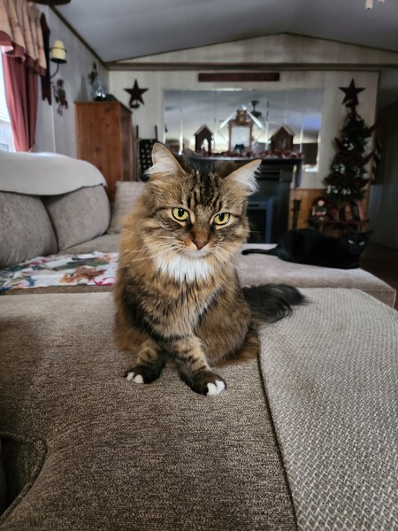 Precious