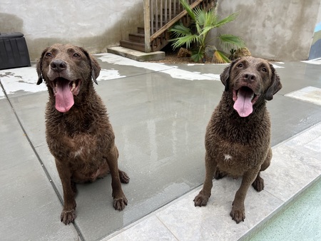 Chester and Keeper
