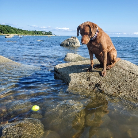 Sam