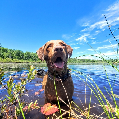 Sam