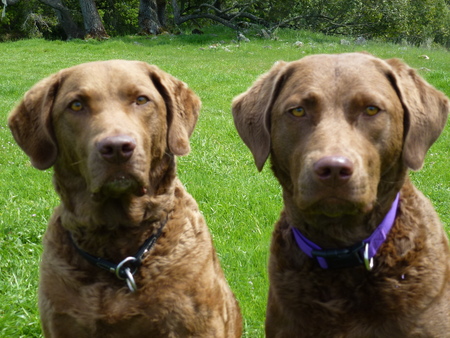 Wyatt and Ellie