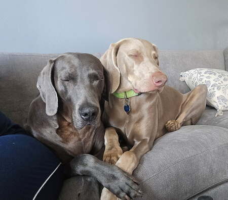 Khloe and Wolfie