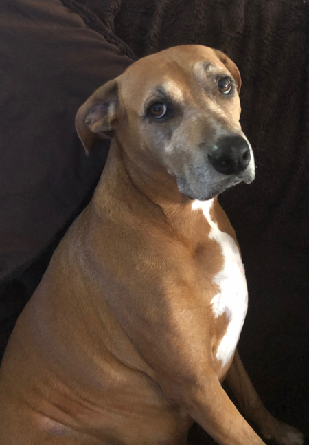 Mac
