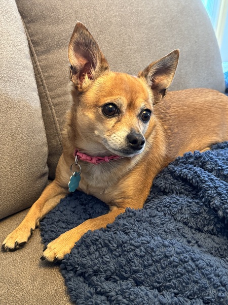 Peanut