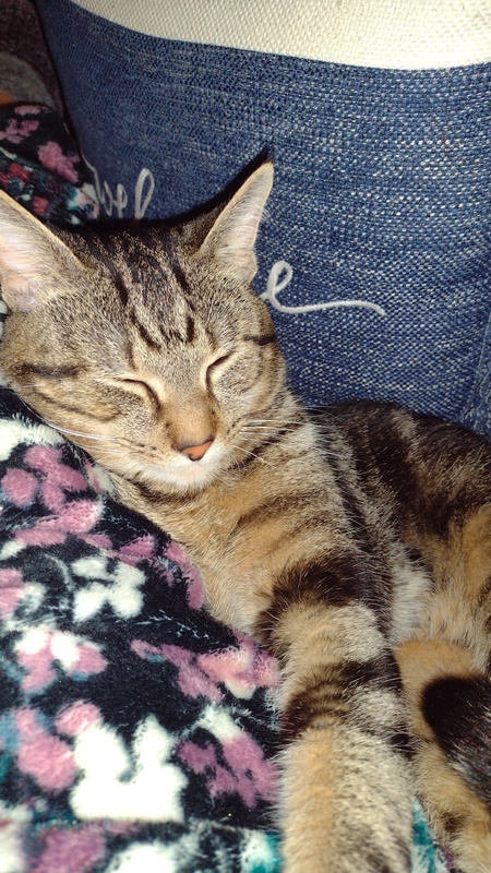 Nugget