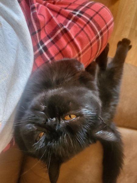 Miss Puddin