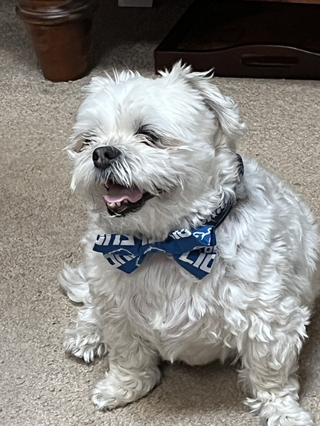Buster