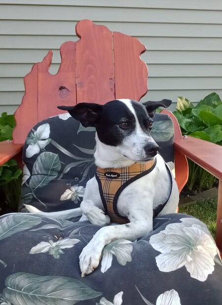 Mr. Finnigan