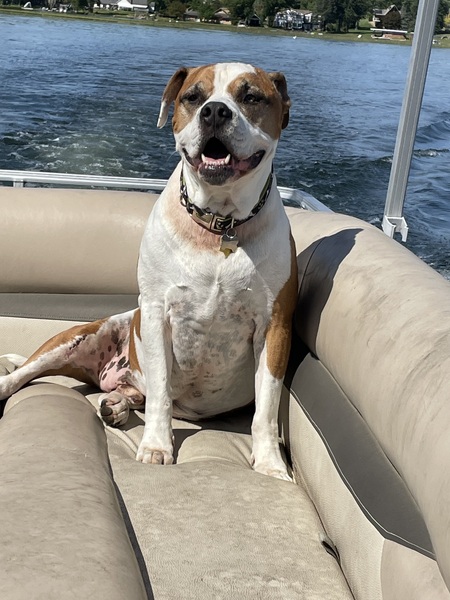 Chico