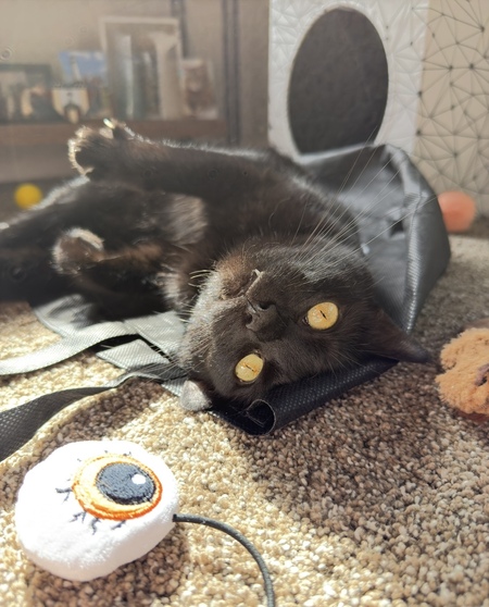 Winnie