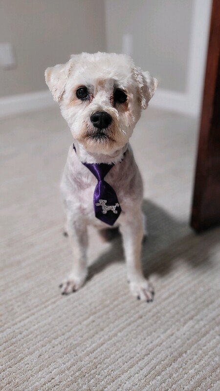 Alfie