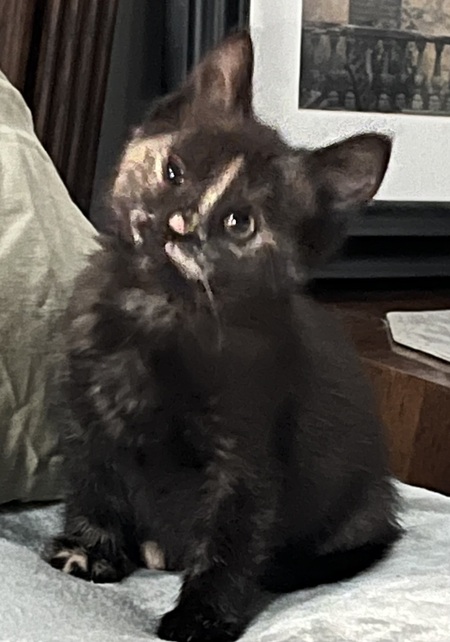 Luna