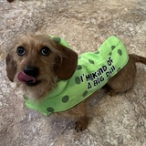 Entry image for Charley