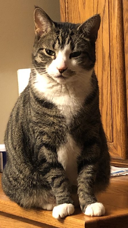 Sadie