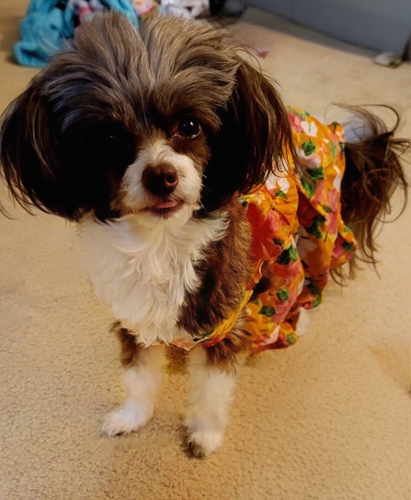 Mia ♡
