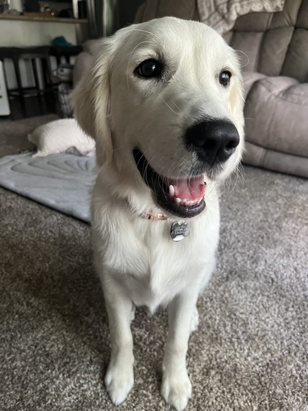 Marley 