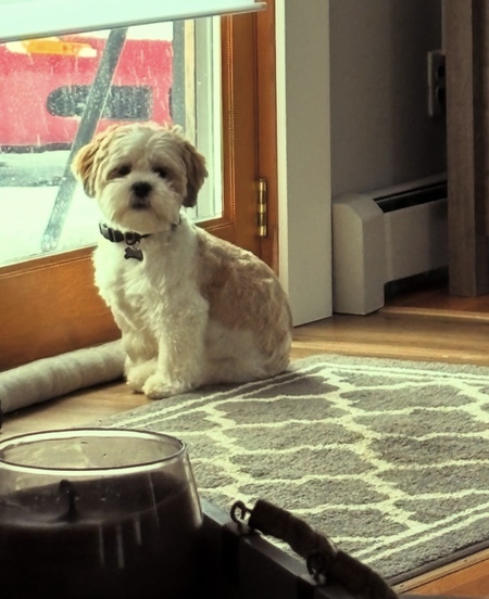 Oliver