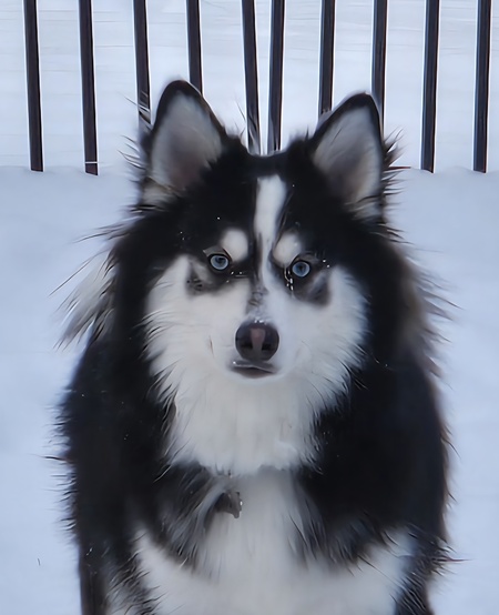 Beau