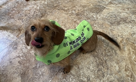 Entry image for Charley. Clicking this image will show a larger photo