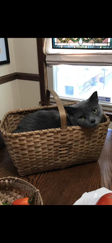 Abe